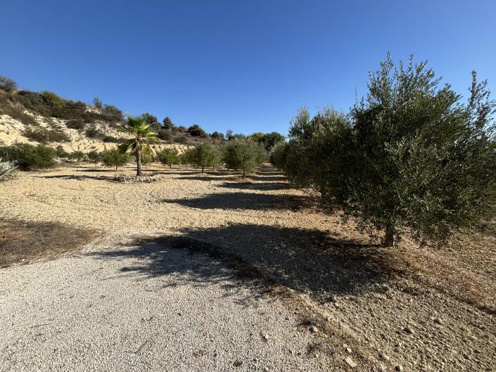 Image No.30-Villa / Détaché de 3 chambres à vendre à Simou