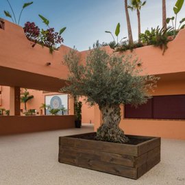 3982-641019-78d1f4f8b6655591b02d22fabb36a692d