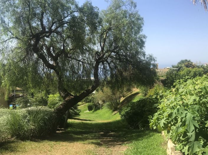 Image No.29-3 Bed Townhouse for sale