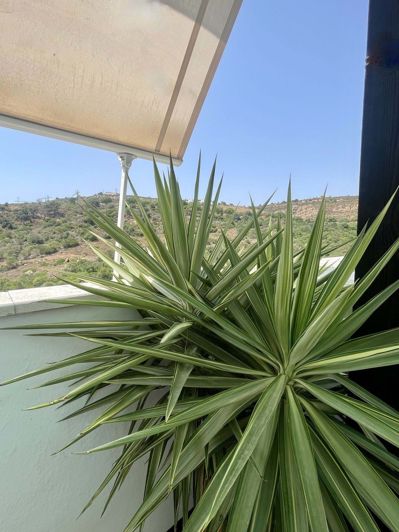 Image No.6-Appartement de 2 chambres à vendre à Manilva