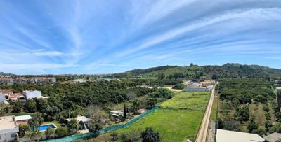 3982-731964-78d1f4f8b6655591b02d22fabb36a692d