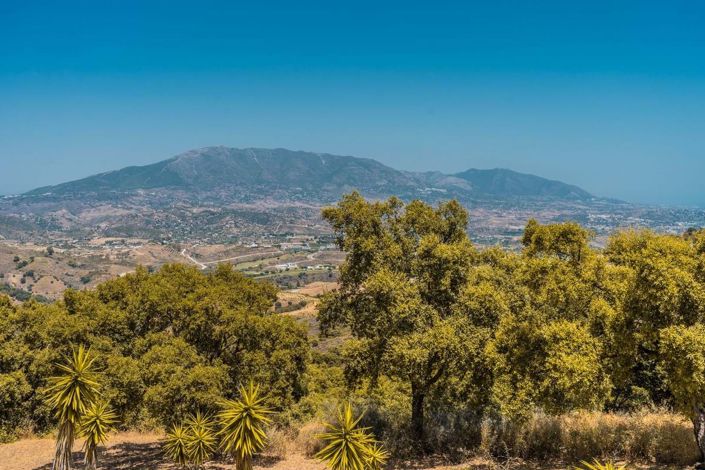 Image No.7-3 Bed Apartment for sale