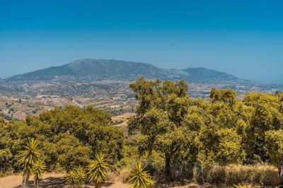 3982-687781-78d1f4f8b6655591b02d22fabb36a692d