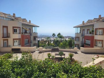 3982-751185-78d1f4f8b6655591b02d22fabb36a692d