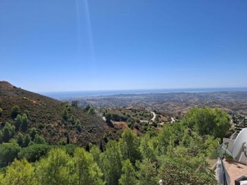 3982-792437-78d1f4f8b6655591b02d22fabb36a692d