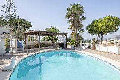 3982-894771-78d1f4f8b6655591b02d22fabb36a692d