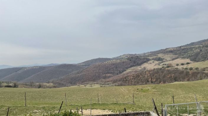 Image No.14-16 Bed Apartment for sale