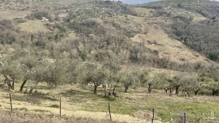 Image No.18-16 Bed Apartment for sale