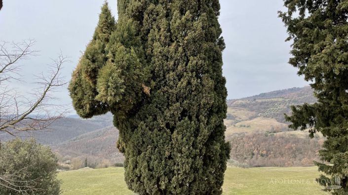 Image No.19-16 Bed Apartment for sale