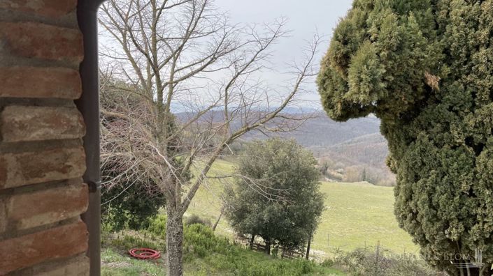 Image No.20-16 Bed Apartment for sale