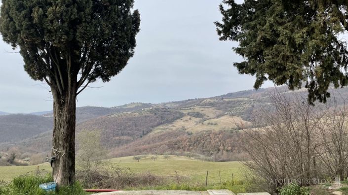 Image No.9-16 Bed Apartment for sale