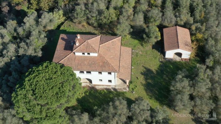 Image No.2-Appartement de 9 chambres à vendre à Palaia