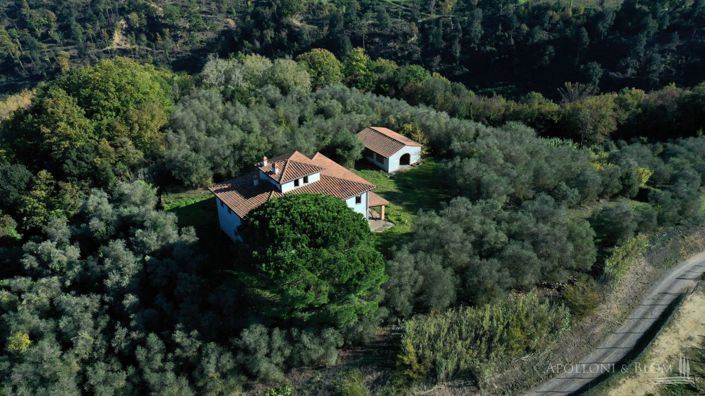 Image No.4-Appartement de 9 chambres à vendre à Palaia