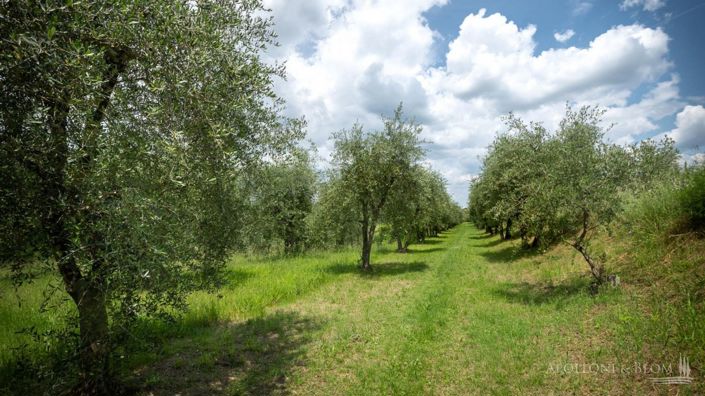 Image No.17-13 Bed Villa for sale