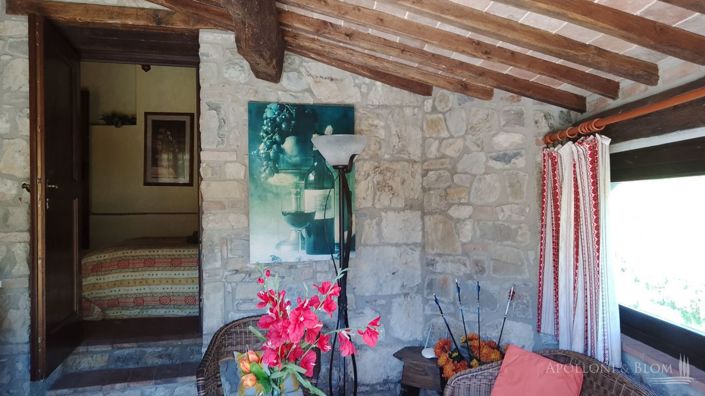 Image No.25-Appartement de 10 chambres à vendre à Castellina in Chianti