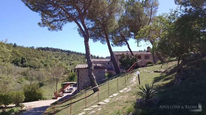 Image No.29-Appartement de 10 chambres à vendre à Castellina in Chianti