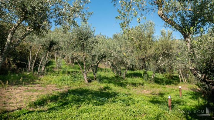 Image No.30-5 Bed Villa for sale