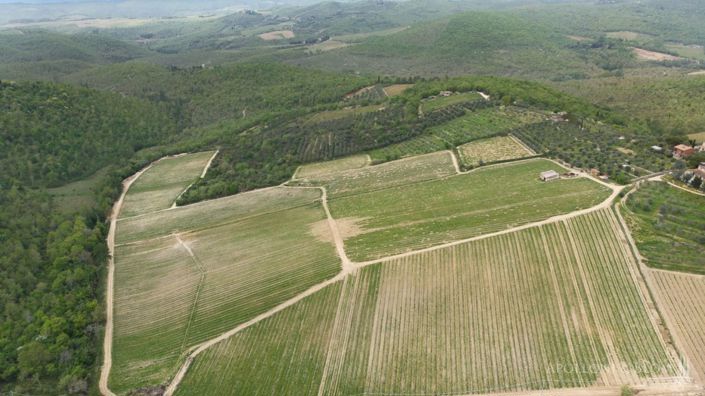 Image No.21-5 Bed Vineyard for sale