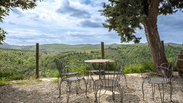 Image No.22-5 Bed Vineyard for sale