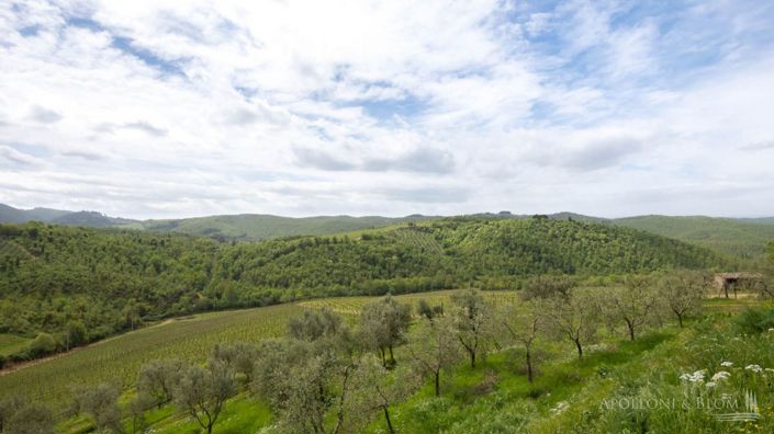 Image No.27-5 Bed Vineyard for sale