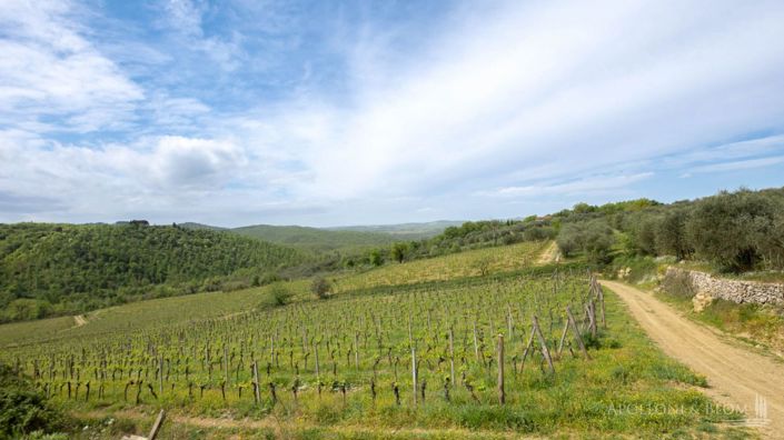 Image No.30-5 Bed Vineyard for sale