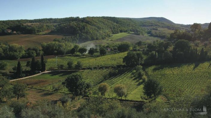 Image No.14-2 Bed Vineyard for sale