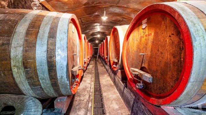 Image No.3-2 Bed Vineyard for sale