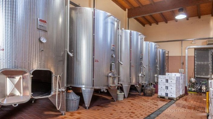 Image No.5-2 Bed Vineyard for sale