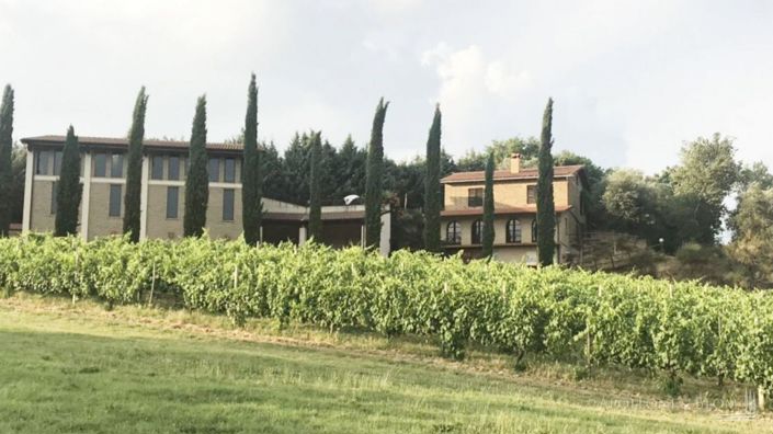 Image No.7-2 Bed Vineyard for sale