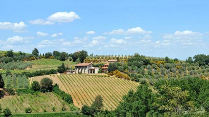 Image No.9-2 Bed Vineyard for sale