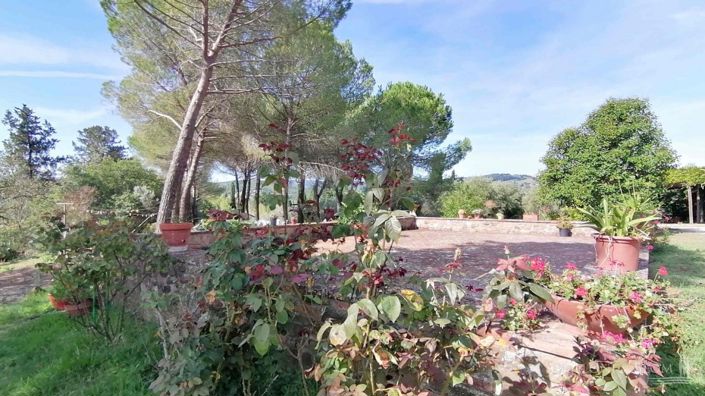 Image No.11-13 Bed Vineyard for sale