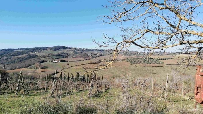 Image No.18-13 Bed Vineyard for sale