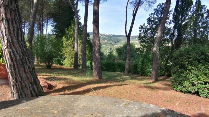 Image No.20-13 Bed Vineyard for sale