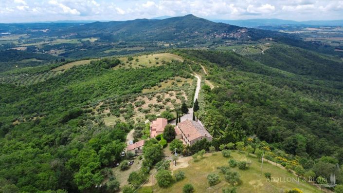 Image No.6-13 Bed Apartment for sale