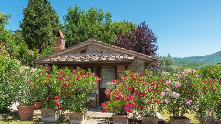 Image No.12-7 Bed Apartment for sale