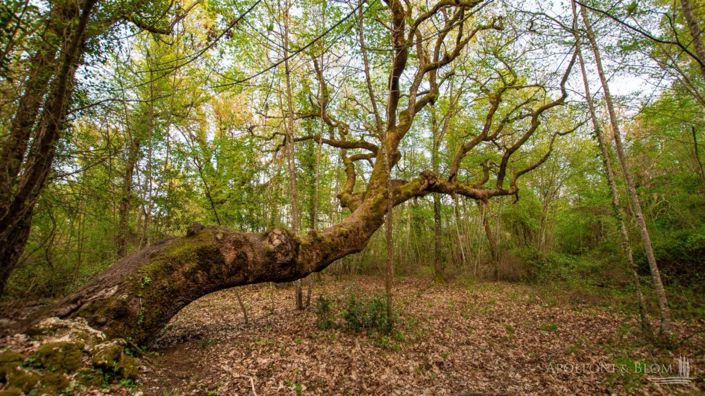 Image No.27-3 Bed Apartment for sale