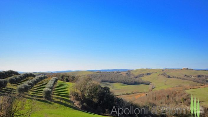 Image No.2-Terrain à vendre à Asciano