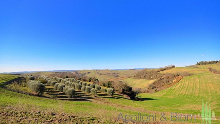 Image No.6-Terrain à vendre à Asciano