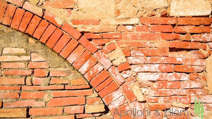 Image No.7-Terrain à vendre à Asciano