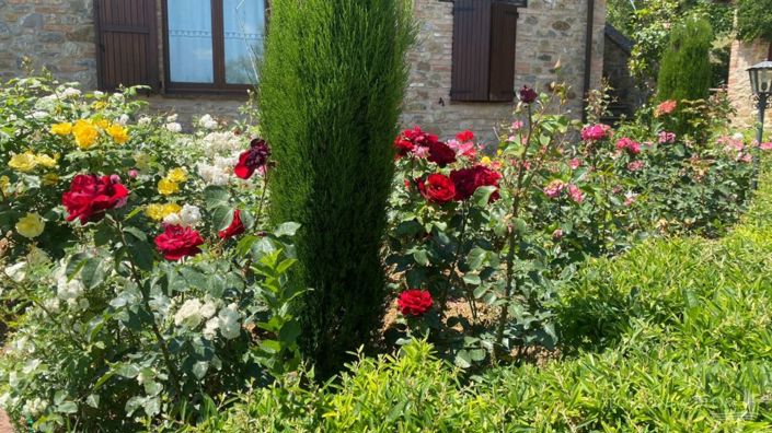 Image No.13-6 Bed Apartment for sale