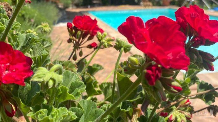 Image No.19-6 Bed Apartment for sale