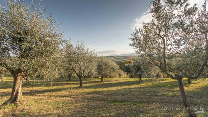 Image No.21-3 Bed Apartment for sale