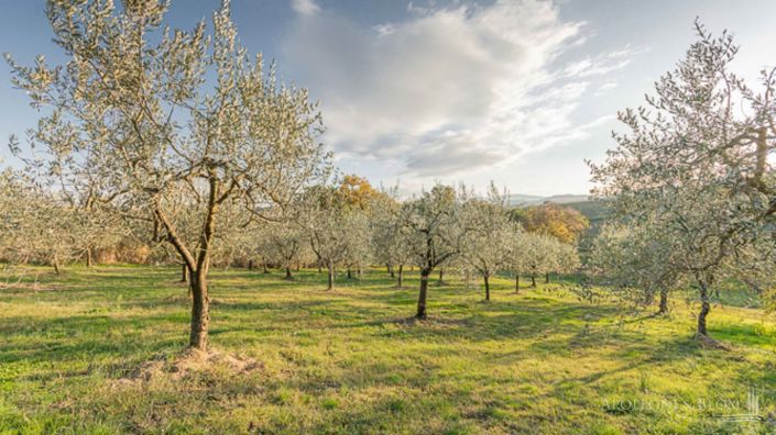 Image No.23-3 Bed Apartment for sale