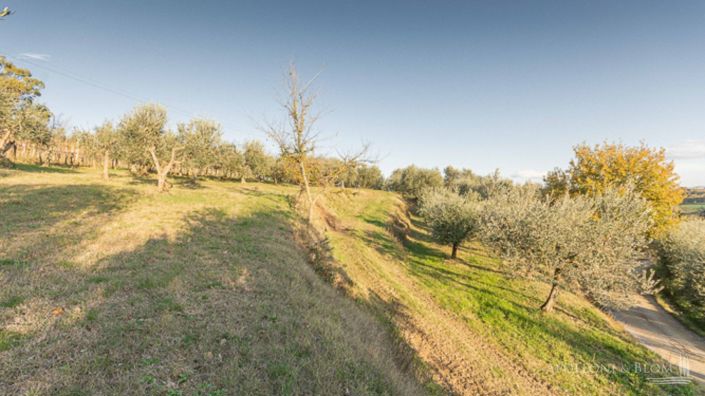 Image No.24-3 Bed Apartment for sale