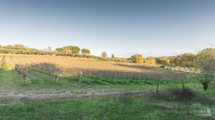 Image No.25-3 Bed Apartment for sale