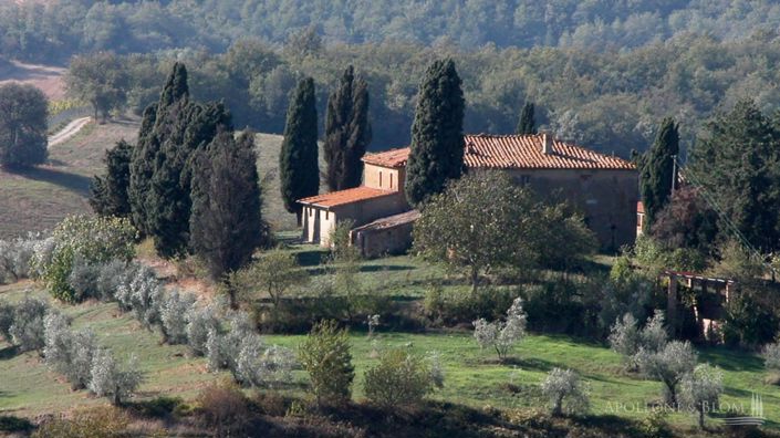 Image No.1-Appartement de 6 chambres à vendre à Torrita di Siena