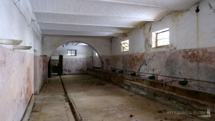 Image No.11-6 Bed Apartment for sale