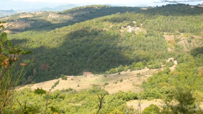 Image No.11-3 Bed Apartment for sale