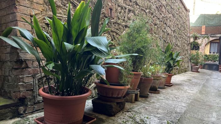 Image No.25-3 Bed Apartment for sale