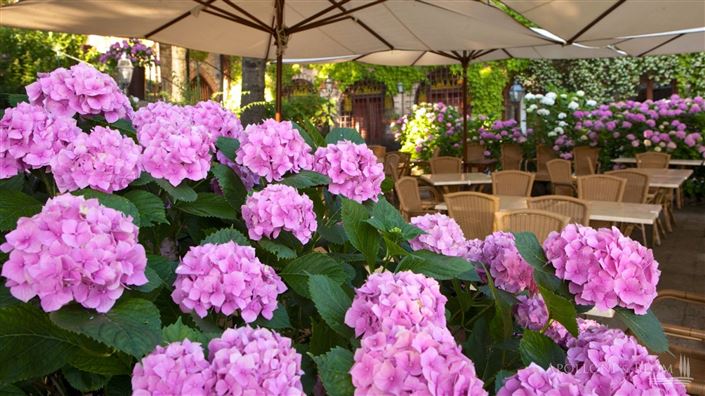 Image No.14-13 Bed Apartment for sale